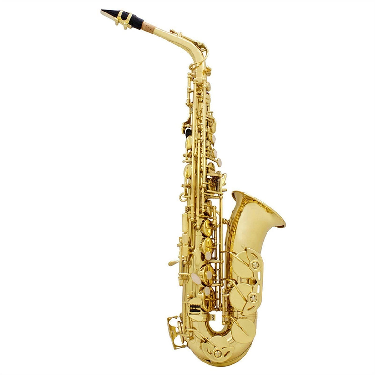 Golden E Flat Alto Saxophone Set J863
