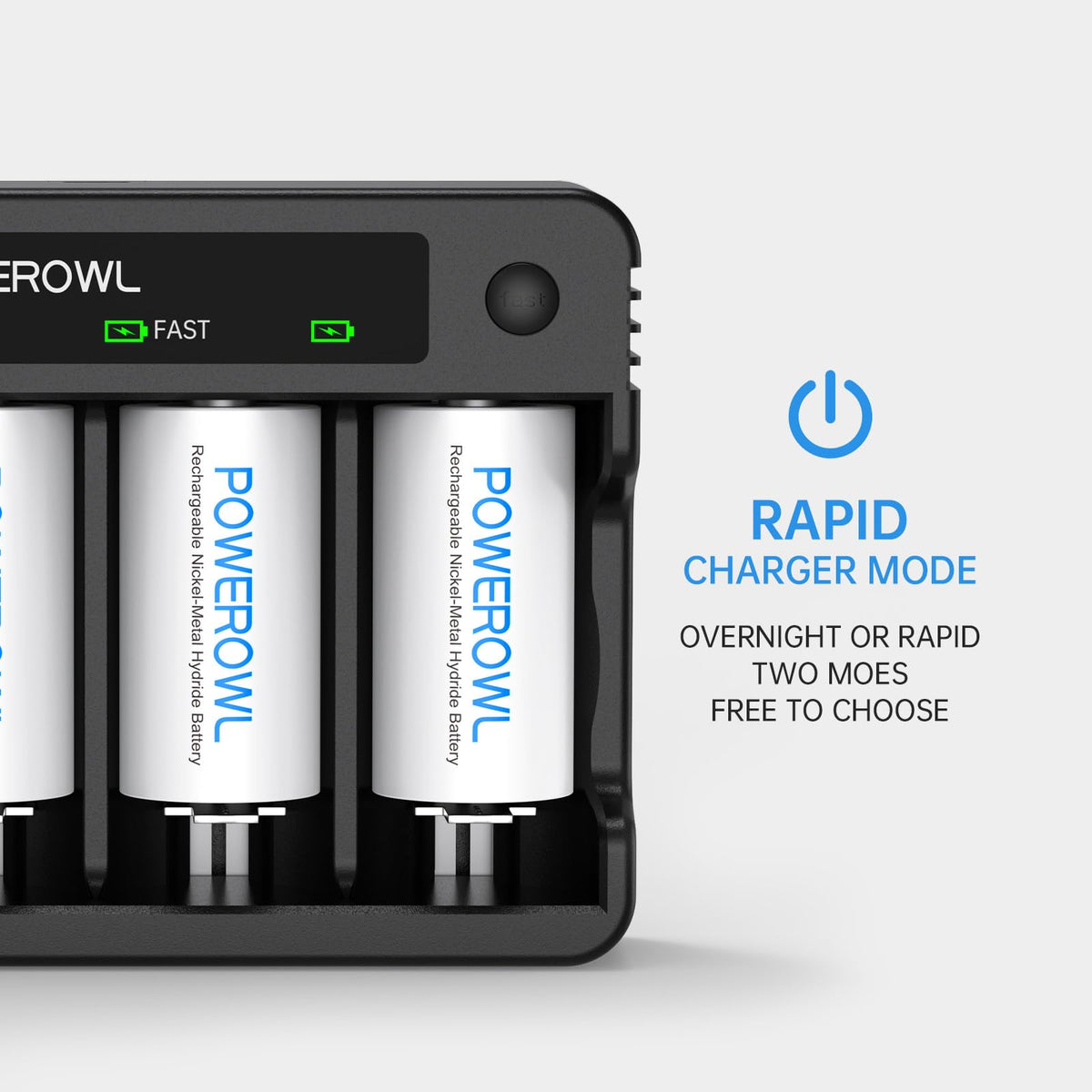 Rechargeable D Batteries with 4 Bay Battery Charger X5114