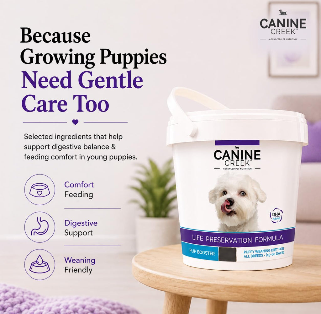 Puppy Weaning Diet 300g/10.5 Ounce M353822