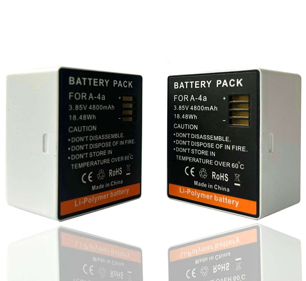 LCD Dual Charger with 2-Pack Batteries 3.85V 4800mAh N1671