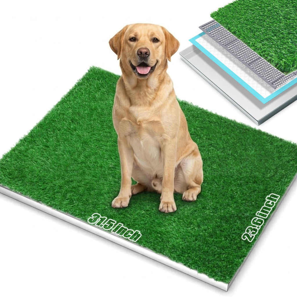Grass Pee Pad with Stainless Steel Tray I26228