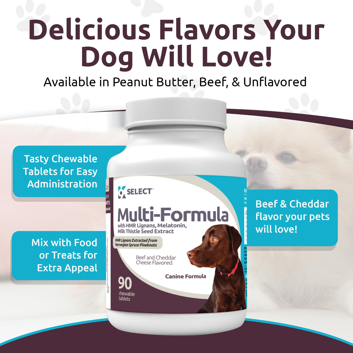 90 Tablets Beef Flavor Dog Multivitamin H127256