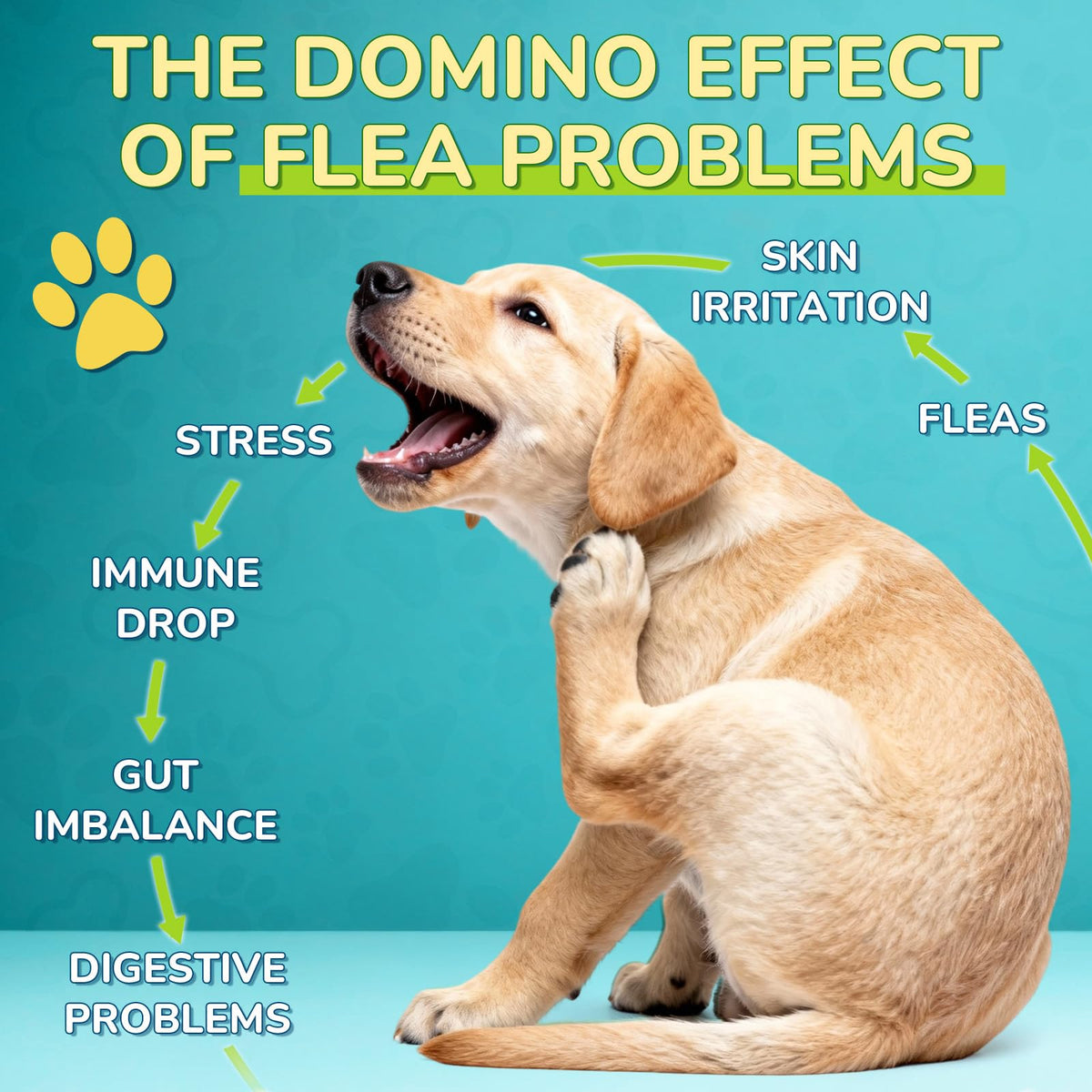 Flea and Tick Prevention Drops with Probiotics L2462