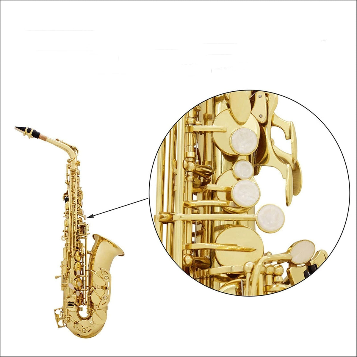 Golden E Flat Alto Saxophone Set J863