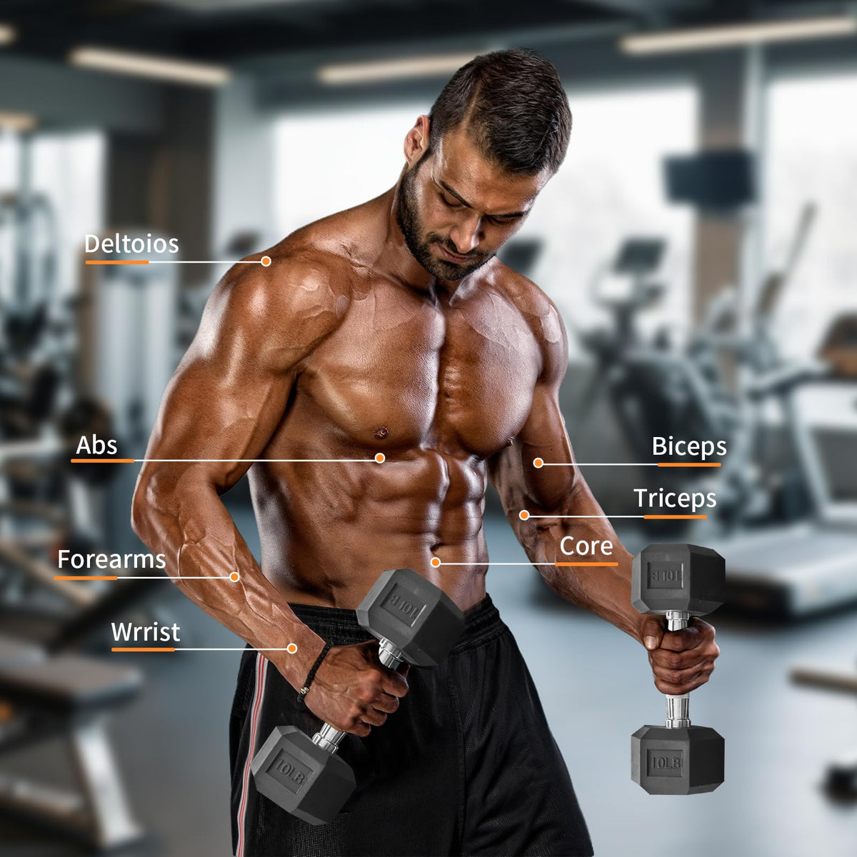 15 lb-550 lb Rubber Hex Dumbbell Set W31317