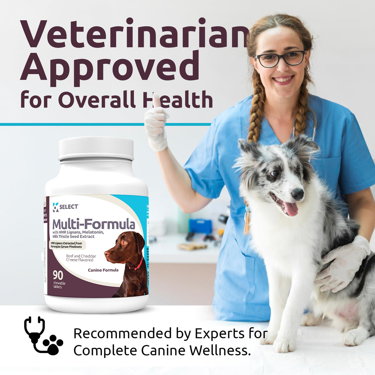 90 Tablets Beef Flavor Dog Multivitamin H127256