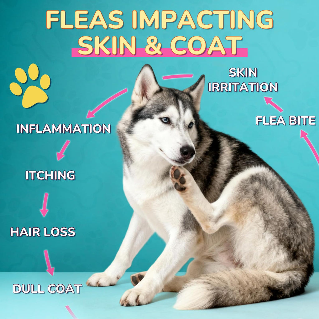 Flea and Tick Prevention for Dogs & Cats U20022