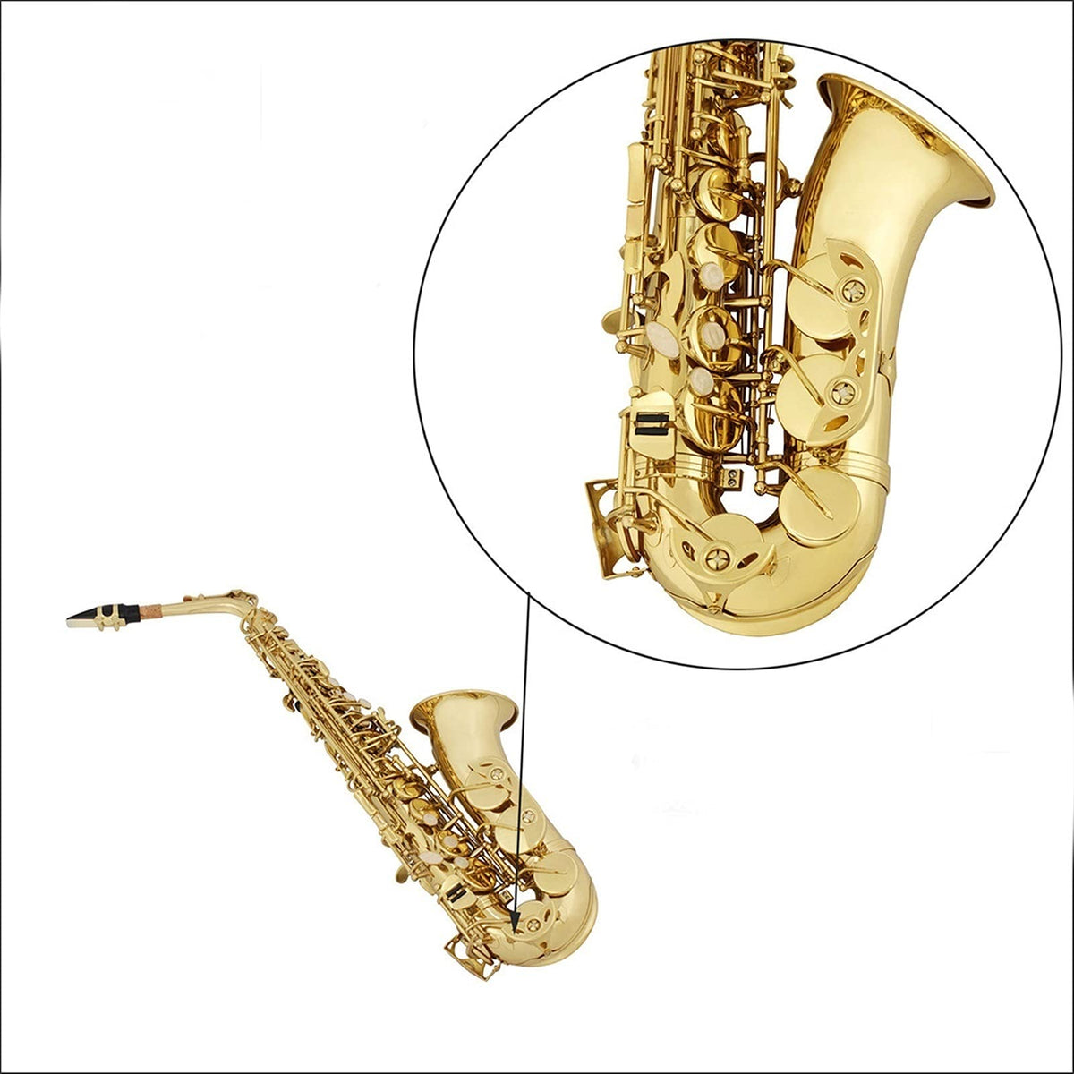 Golden E Flat Alto Saxophone Set J863