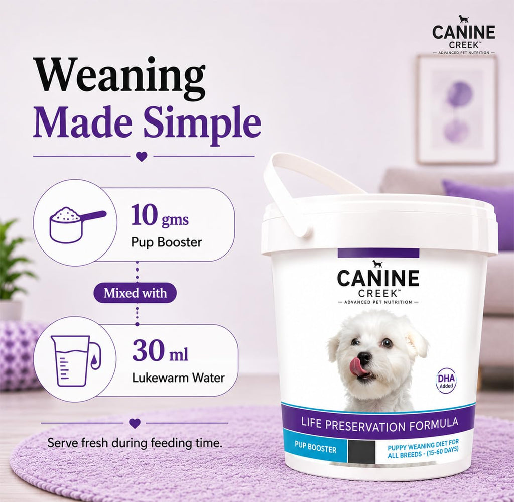 Puppy Weaning Diet 300g/10.5 Ounce M353822