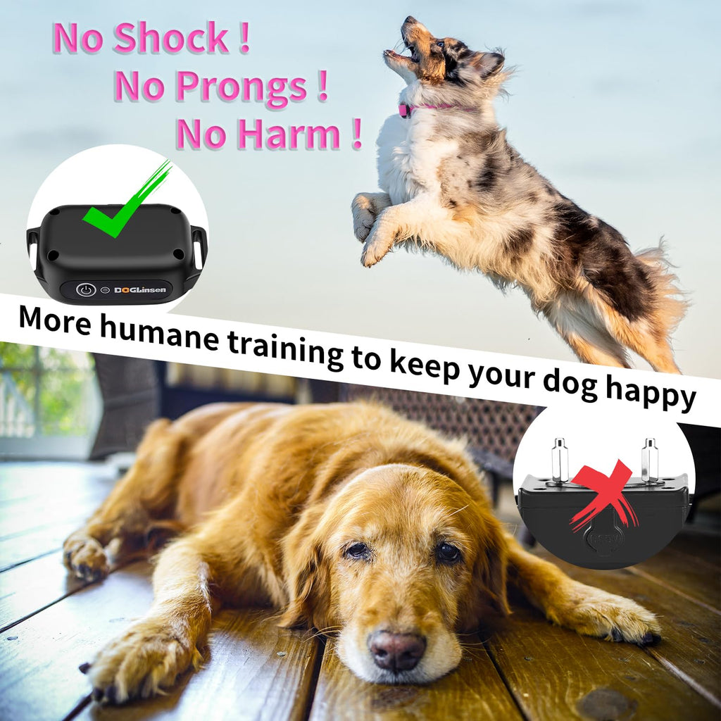 Dog Training Collar with Remote V1721