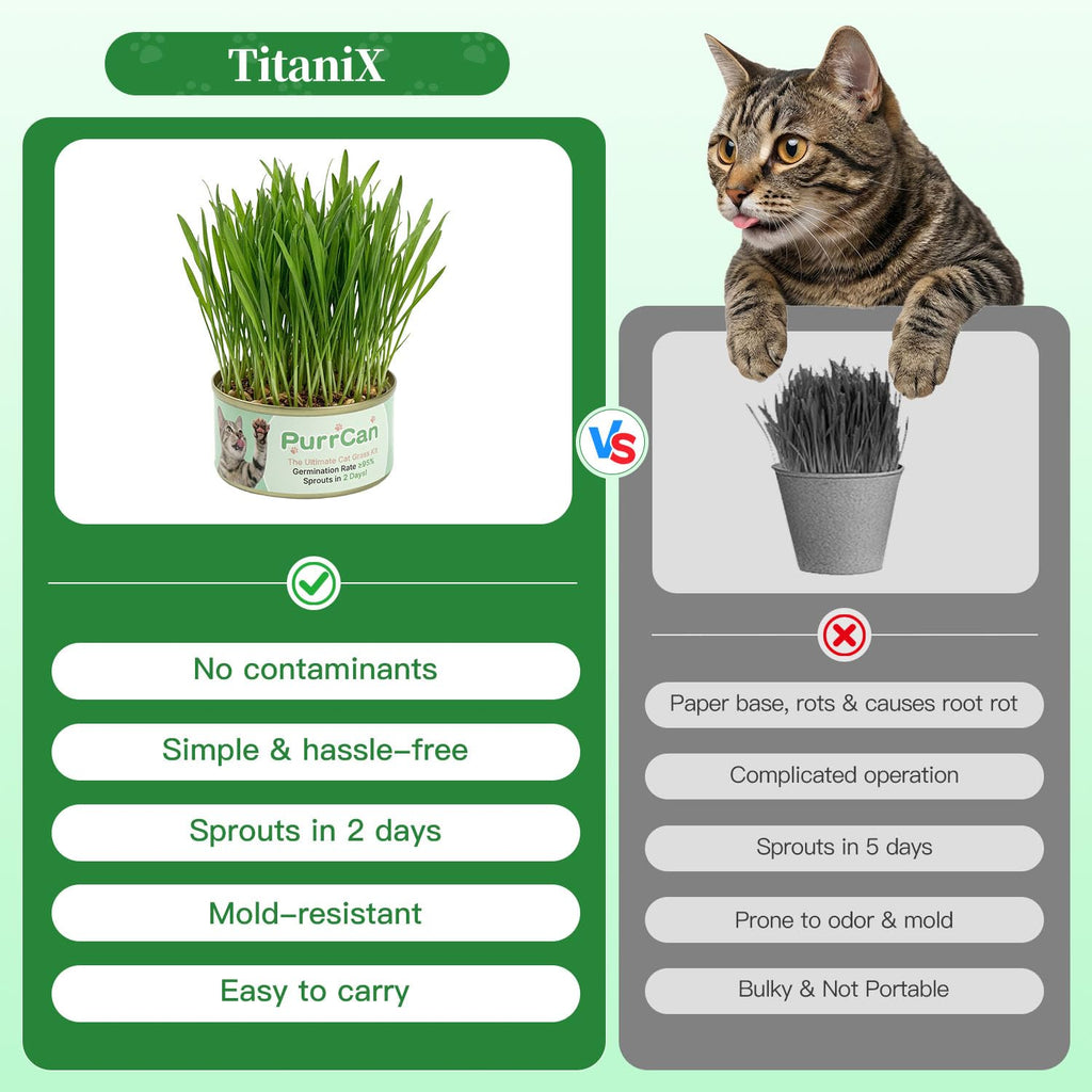 4 Can Cat Grass Kit with Non-GMO Organic Wheat Seeds B8836
