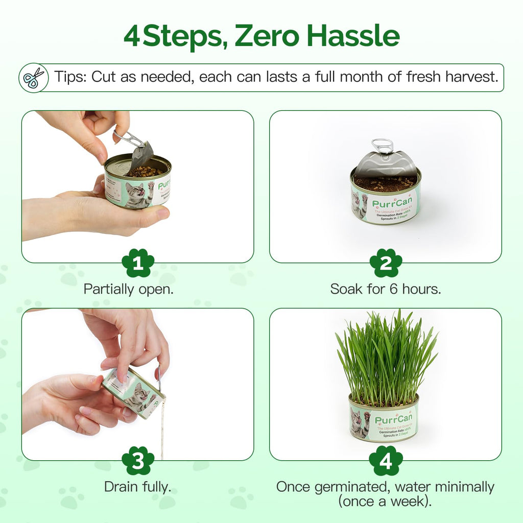 4 Can Cat Grass Kit with Non-GMO Organic Wheat Seeds B8836