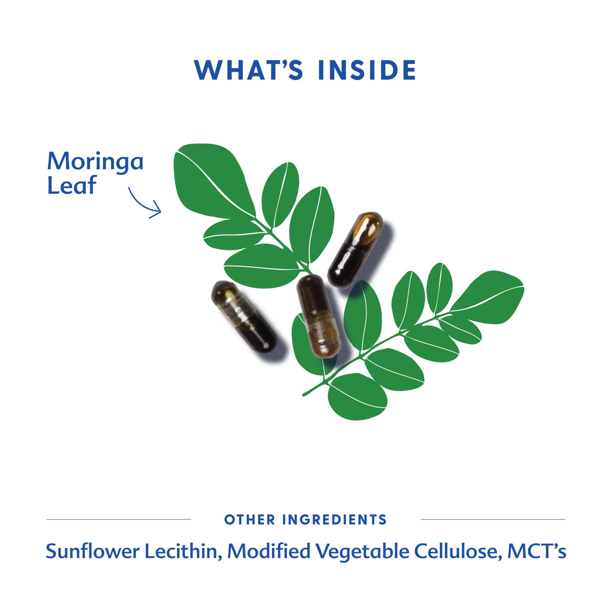 Moringa 120 Capsule V825284