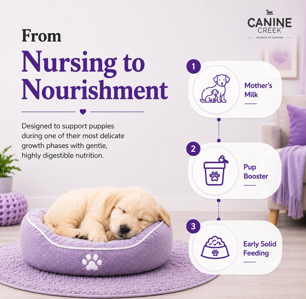 Puppy Weaning Diet 300g/10.5 Ounce M353822