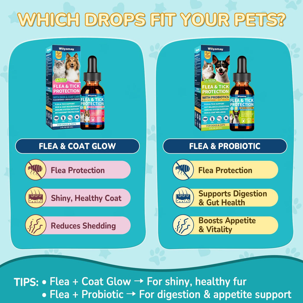 Flea and Tick Prevention for Dogs & Cats U20022