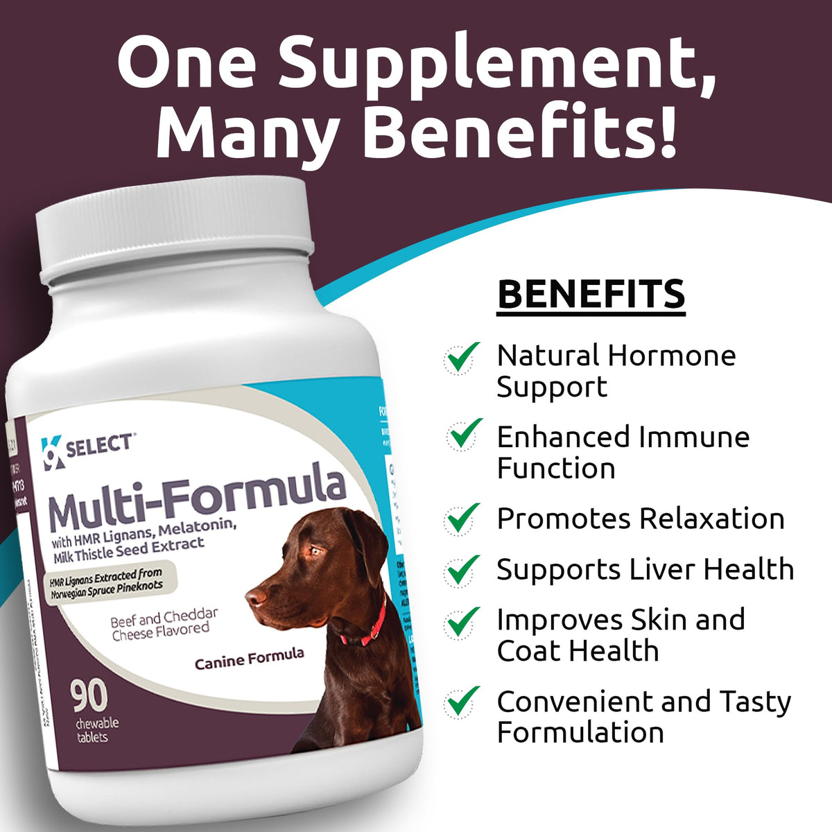 90 Tablets Beef Flavor Dog Multivitamin H127256