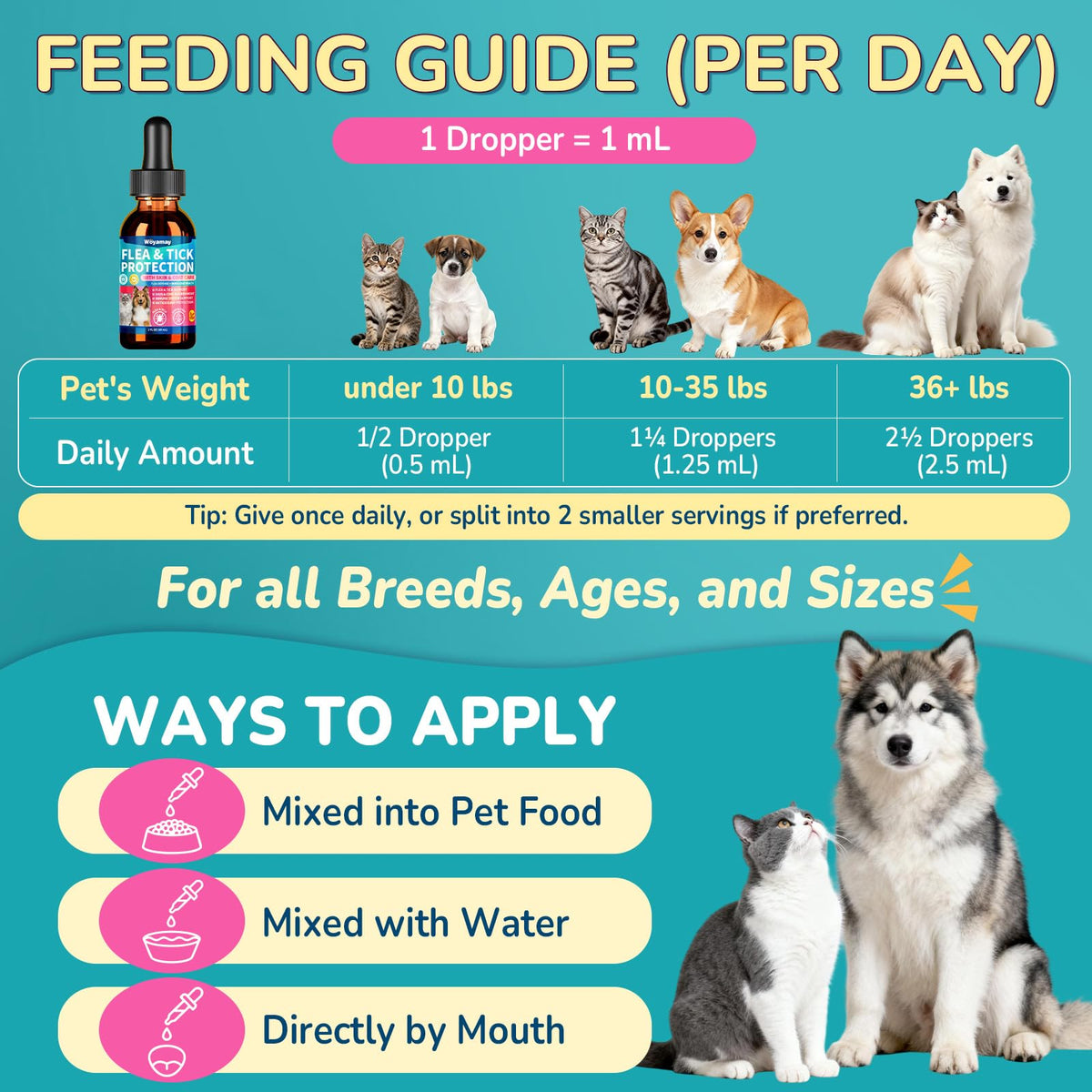 Flea and Tick Prevention for Dogs & Cats U20022