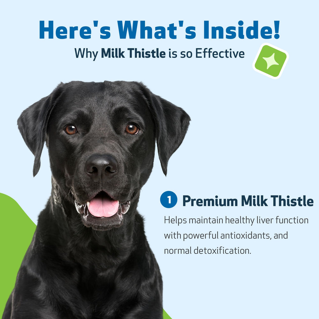 Milk Thistle for Dogs 2 oz L608090