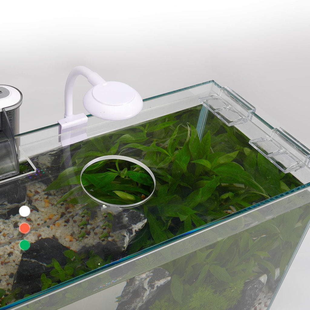 3 Gallon Glass Fish Tank Starter Kit with Filter R2529