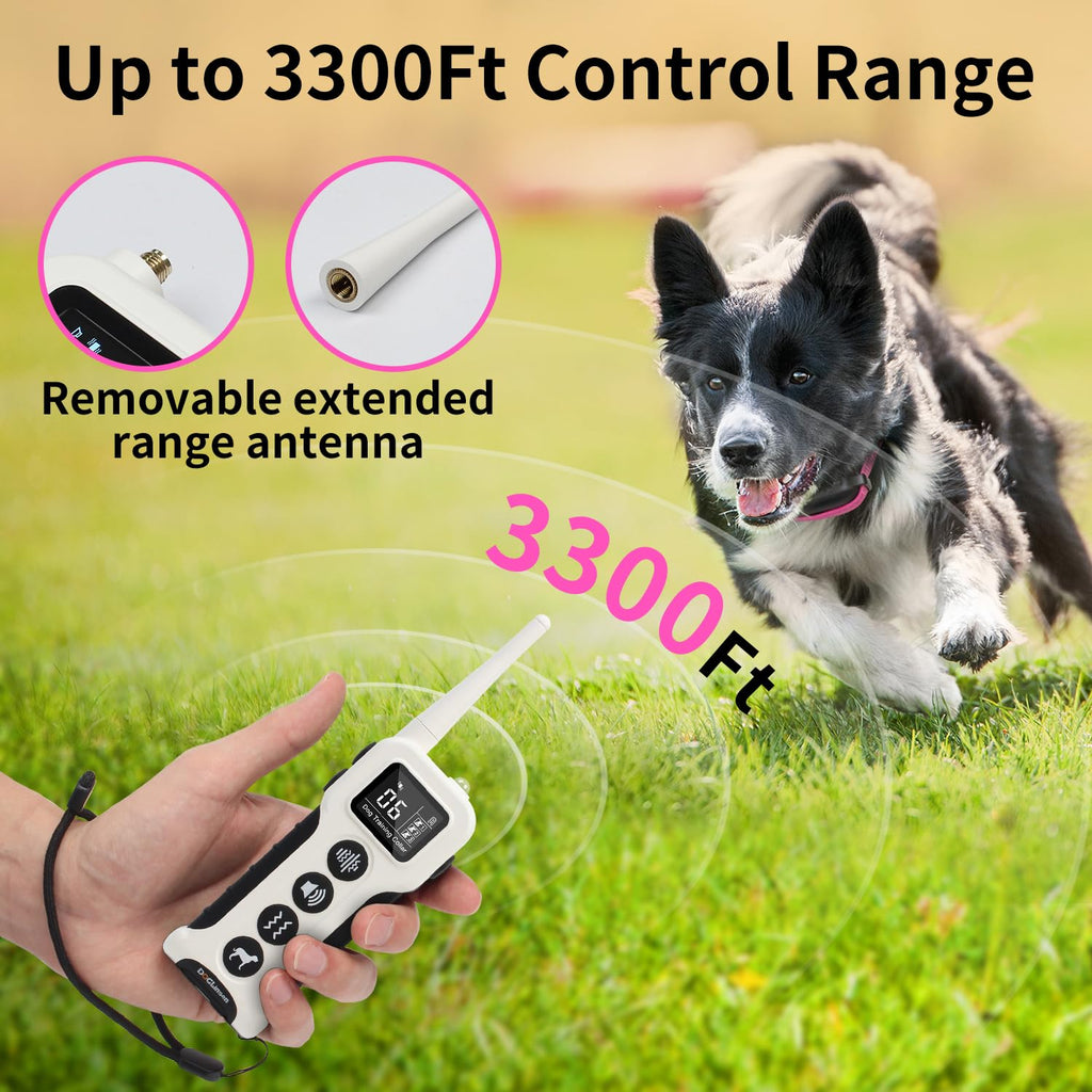 Dog Training Collar with Remote V1721