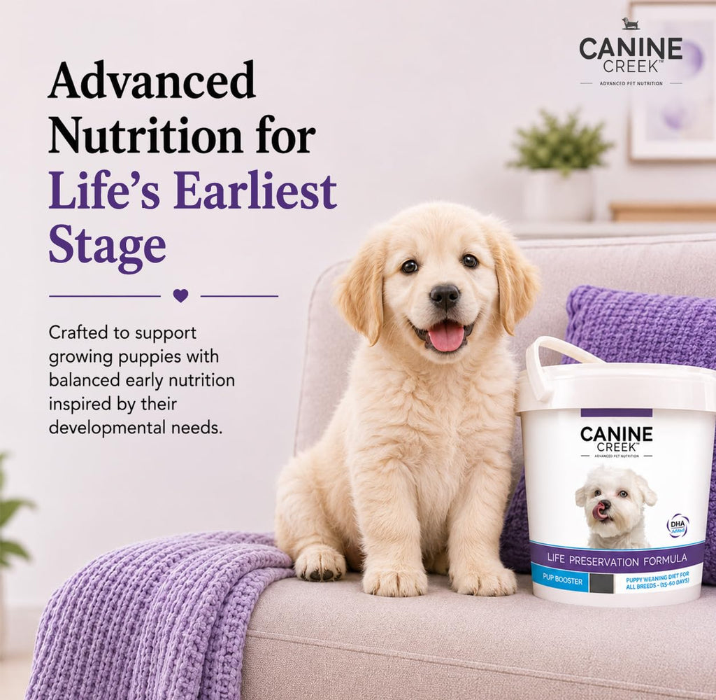 Puppy Weaning Diet 300g/10.5 Ounce M353822