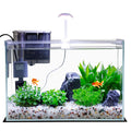 3 Gallon Glass Fish Tank Starter Kit with Filter R2529