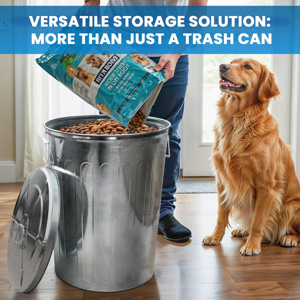 20 Gallon and 6 Gallon Metal Trash Can Set with Lids F801816
