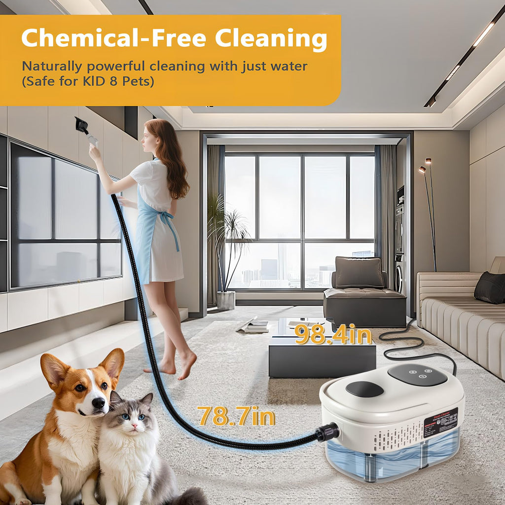 Handheld Steam Cleaner F928