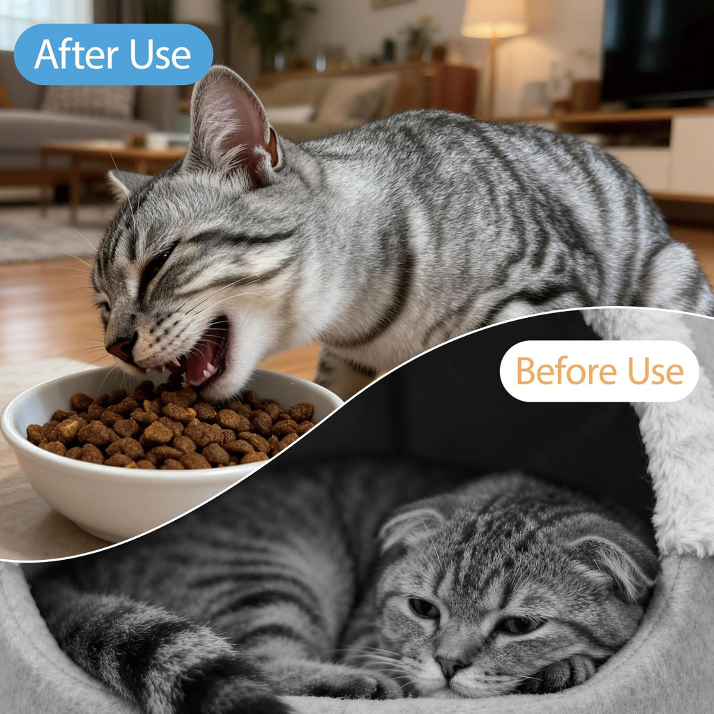 Liquid Dewormer for Cats & Kittens 4.06 oz J417