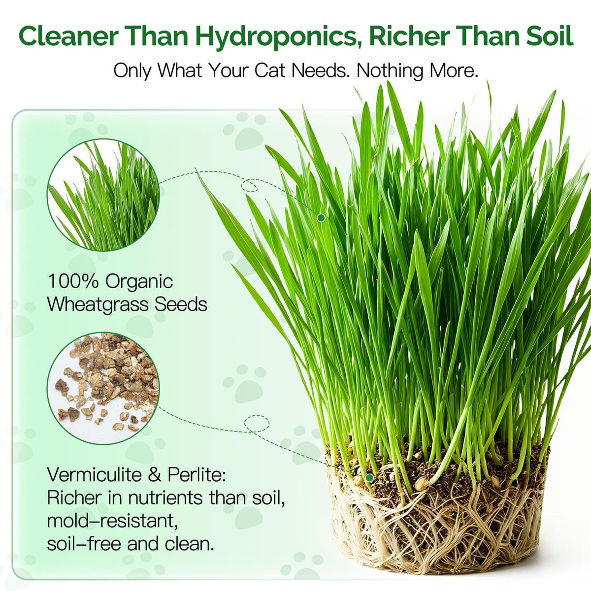 4 Can Cat Grass Kit with Non-GMO Organic Wheat Seeds B8836