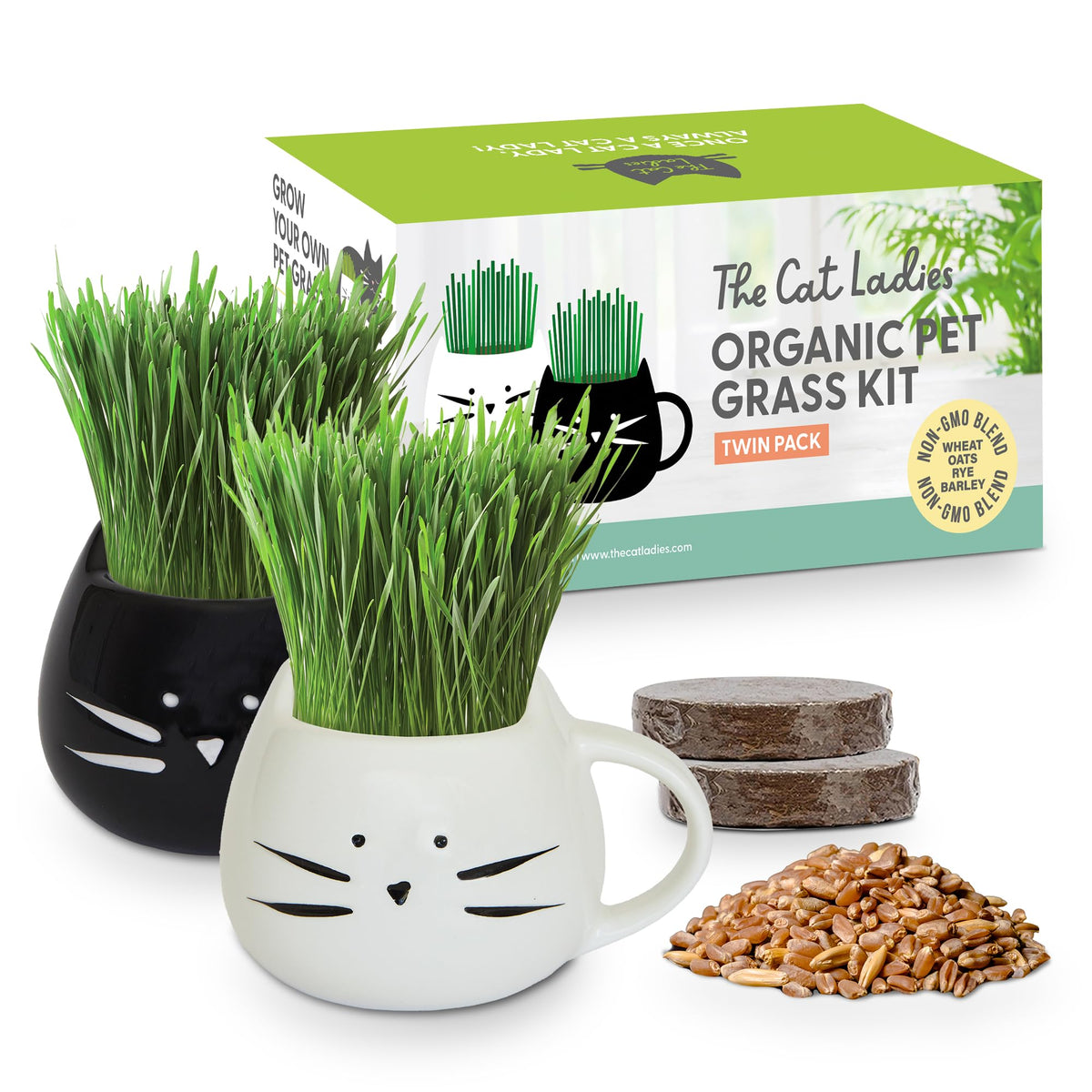 Cat Grass Growing Kit with Seed Mix, Soil and Two Planters J701055