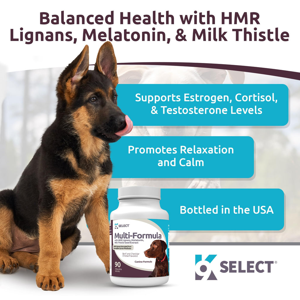 90 Tablets Beef Flavor Dog Multivitamin H127256