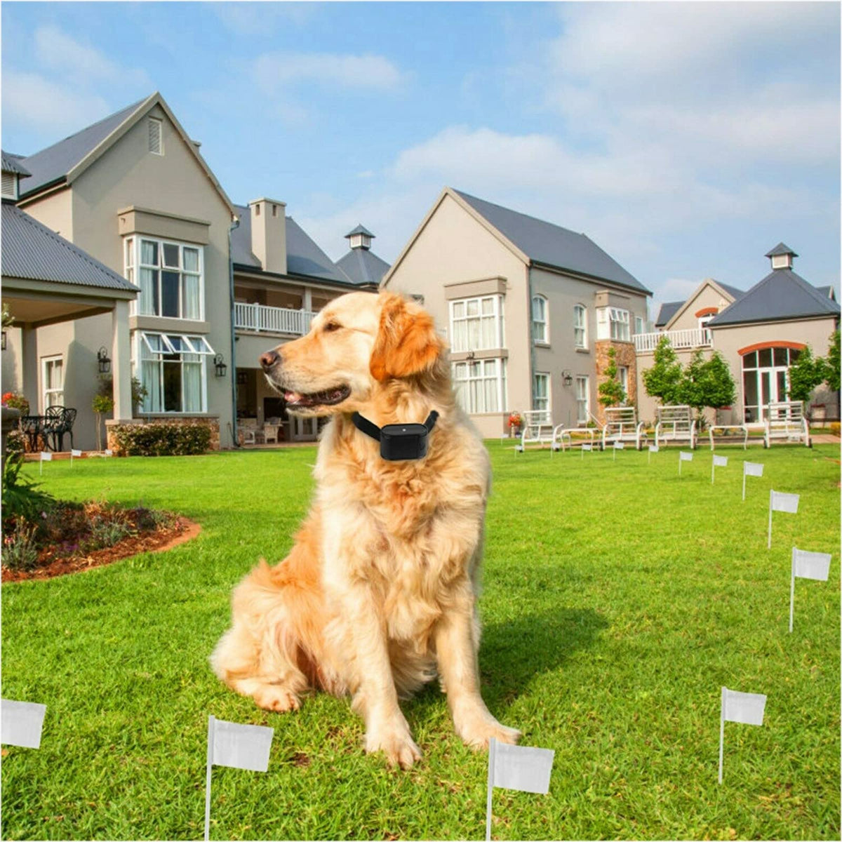 Wireless Electric Dog Fence System, In-ground/Aboveground Pet Containment System H9720