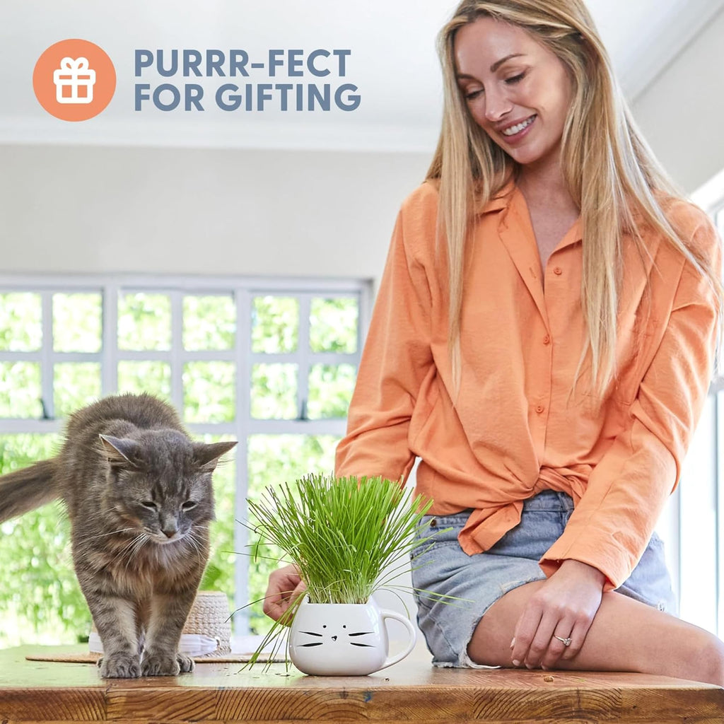 Cat Grass Growing Kit with Seed Mix, Soil and Two Planters J701055