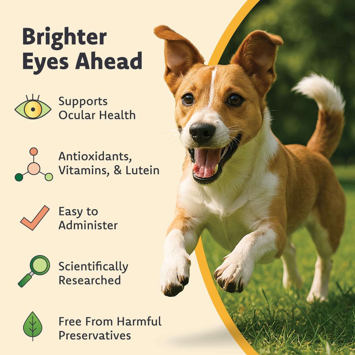 Lutein Omega-3 Liquid Gelcaps Vision Supplement for Small Dogs X77501