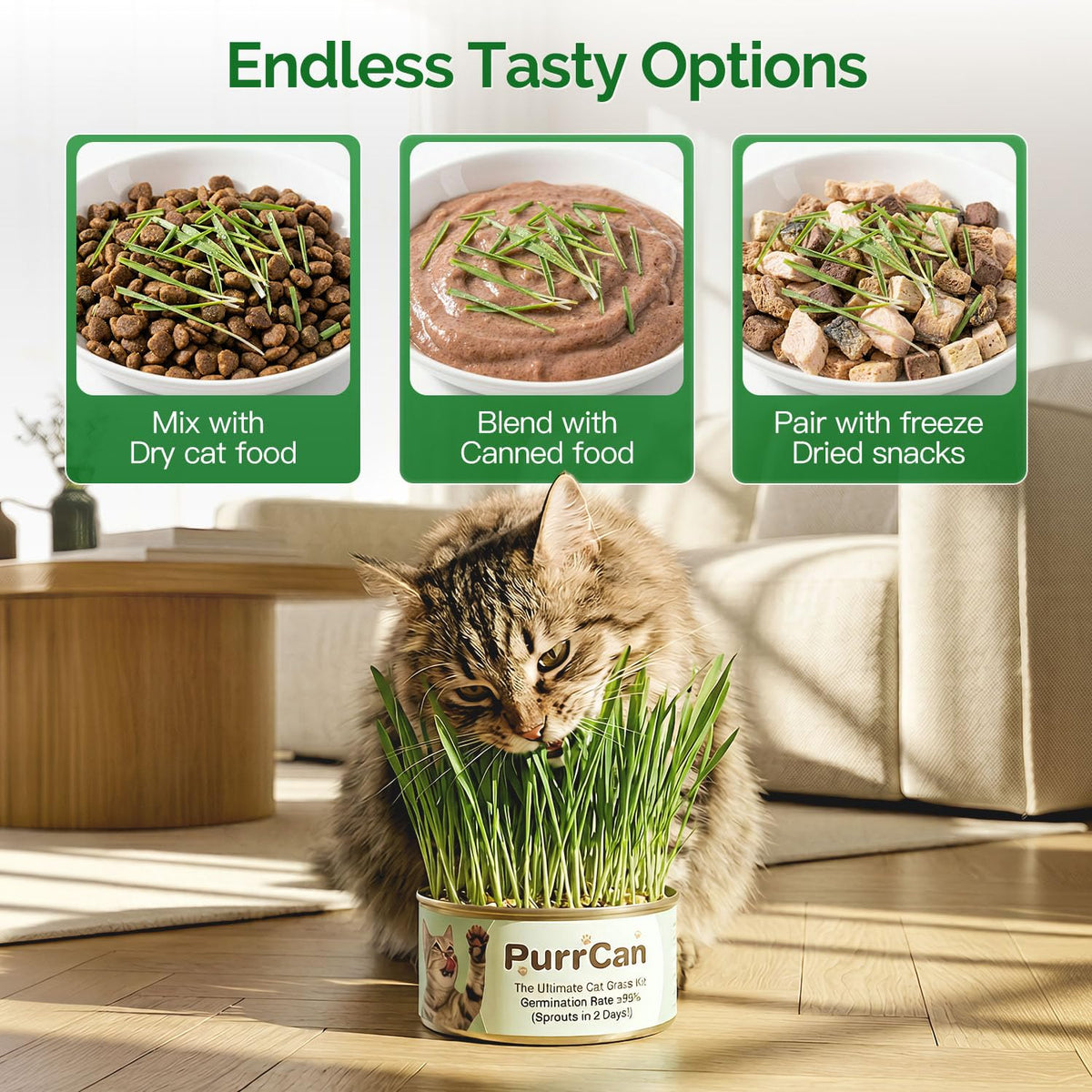 4 Can Cat Grass Kit with Non-GMO Organic Wheat Seeds B8836