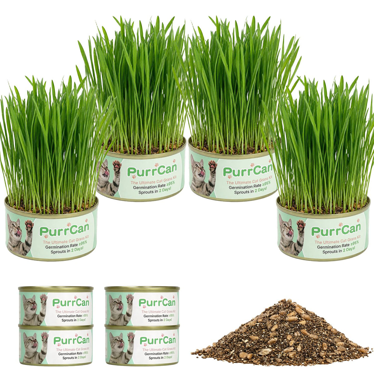 4 Can Cat Grass Kit with Non-GMO Organic Wheat Seeds B8836