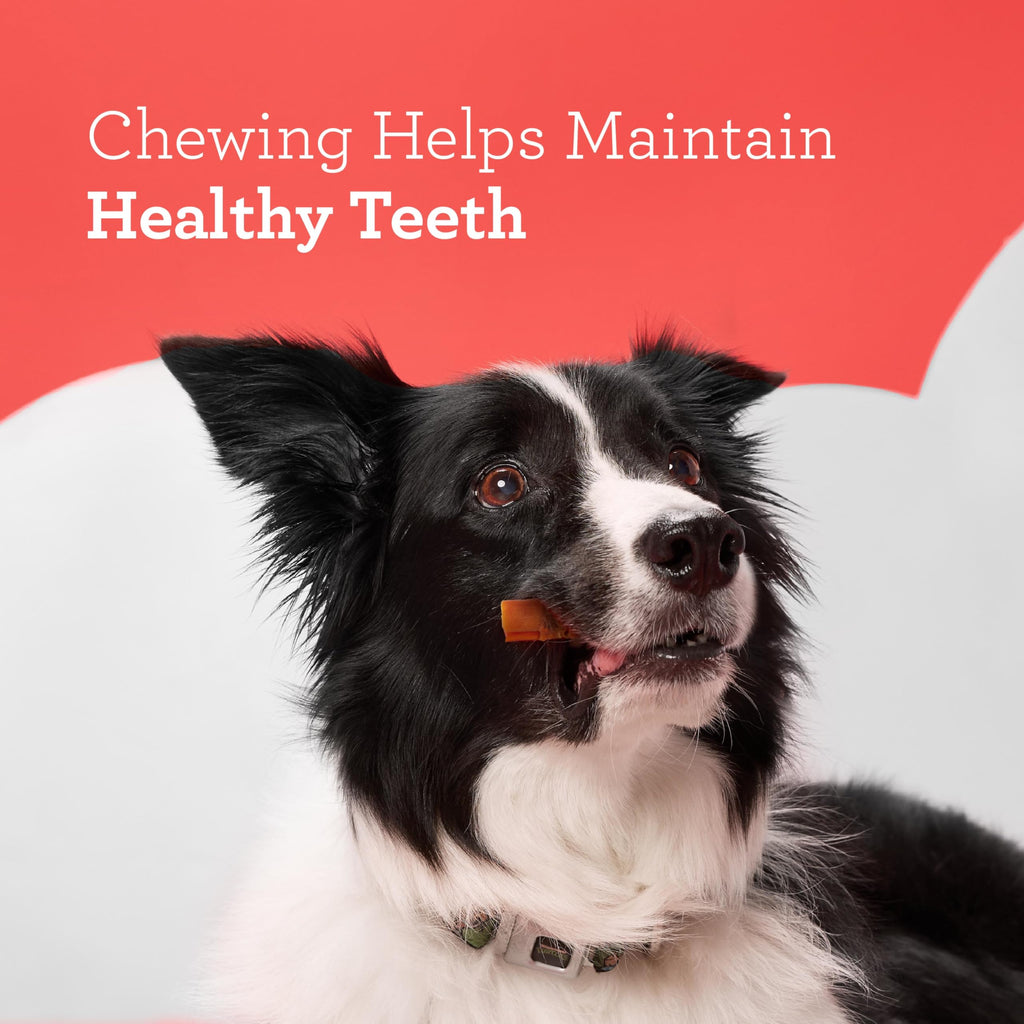 Rawhide-Free Dog Treats 14 Count M525321