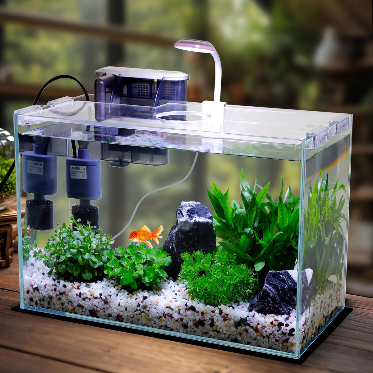 3 Gallon Glass Fish Tank Starter Kit with Filter R2529