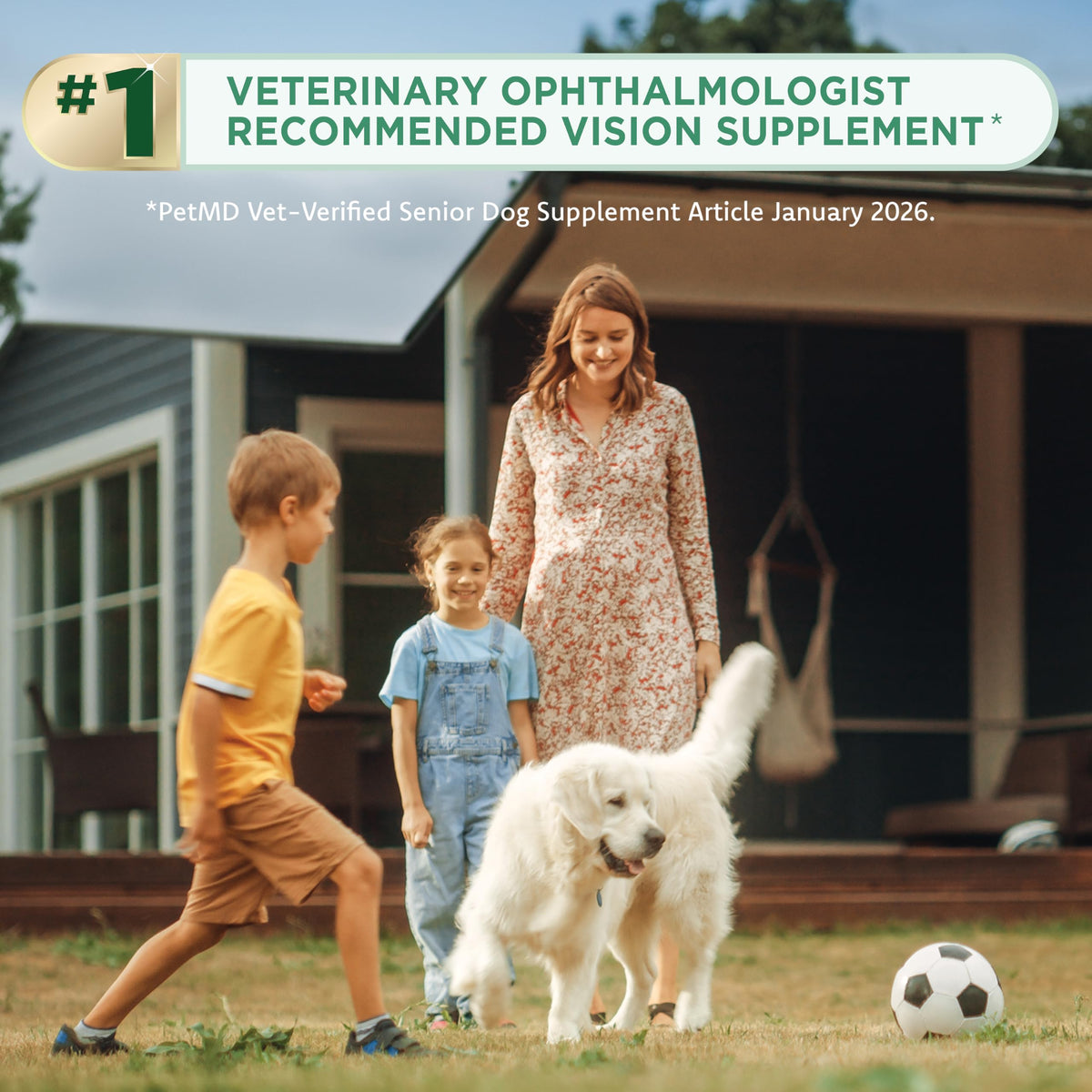 Lutein Omega-3 Liquid Gelcaps Vision Supplement for Small Dogs X77501