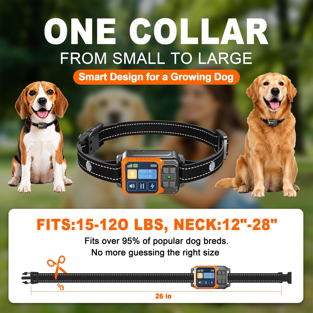 Wireless Dog Fence System O196588