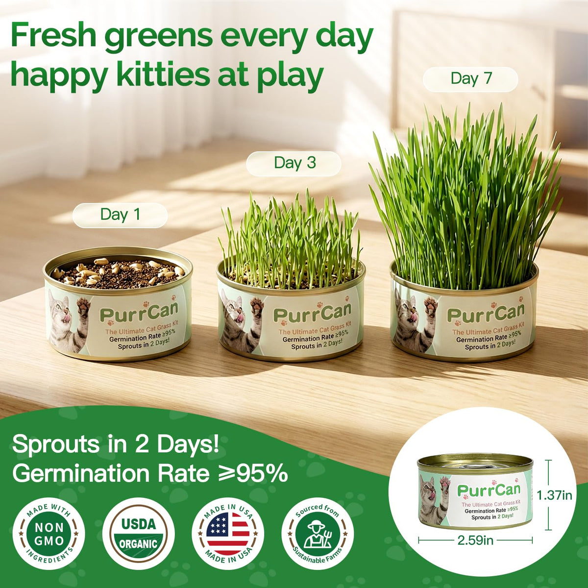 4 Can Cat Grass Kit with Non-GMO Organic Wheat Seeds B8836