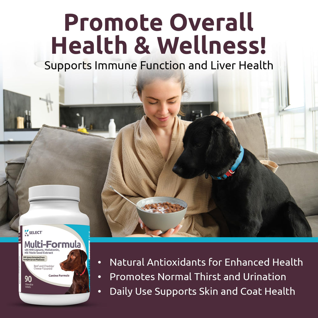 90 Tablets Beef Flavor Dog Multivitamin H127256
