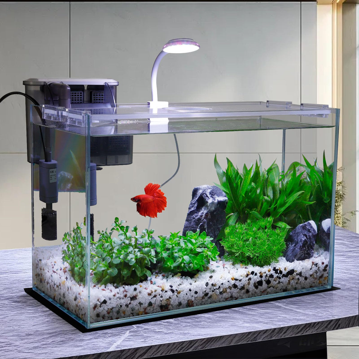 3 Gallon Glass Fish Tank Starter Kit with Filter R2529