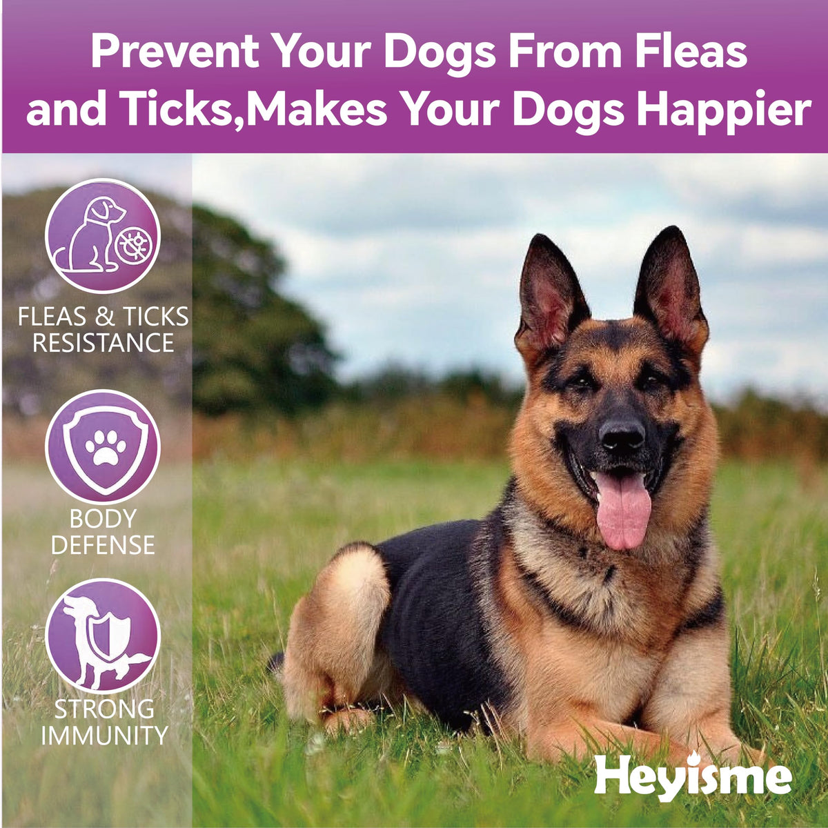 Flea and Tick Chewables for Dogs Chicken 120 Chews O716514