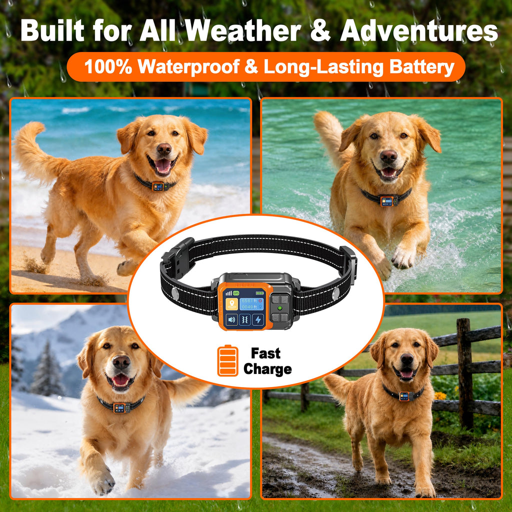 Wireless Dog Fence System O196588